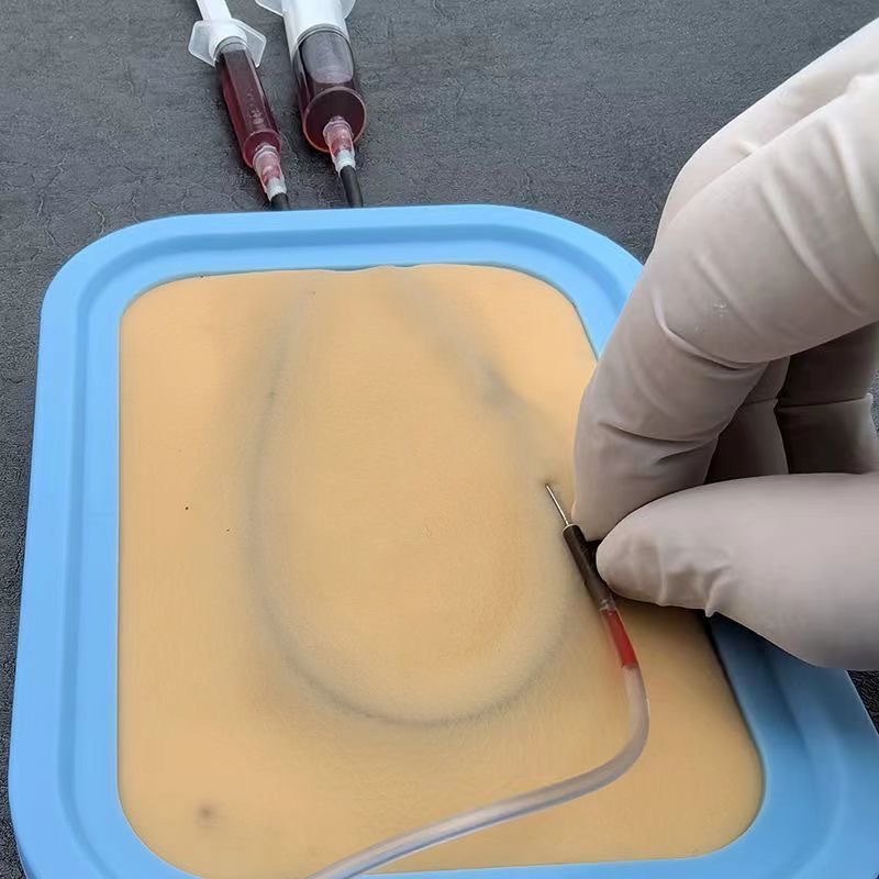 정맥 천자술 훈련 키트 실리콘 정맥 혈액 채취 연습 모 - Blood Collection Tube 리뷰 및 가격