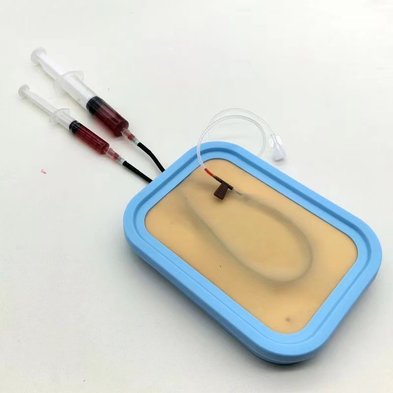 정맥 천자술 훈련 키트 실리콘 정맥 혈액 채취 연습 모 - Blood Collection Tube 리뷰 및 가격