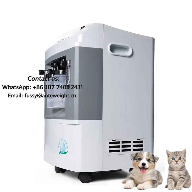 의료용 수의학 산업용 가정용 휴대용 10L 산소 발생기 - Medical Oxygen Concentrator 리뷰 및 가격